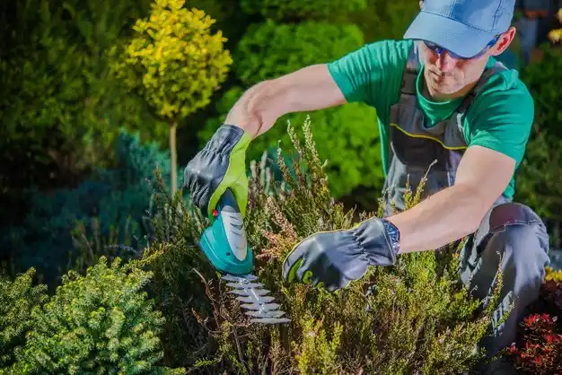 landscaping services Holland